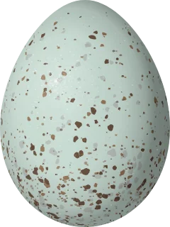 Illustration of a Greenish Yellow Finch (Sicalis olivascens) egg, 21.1 × 15.8 mm