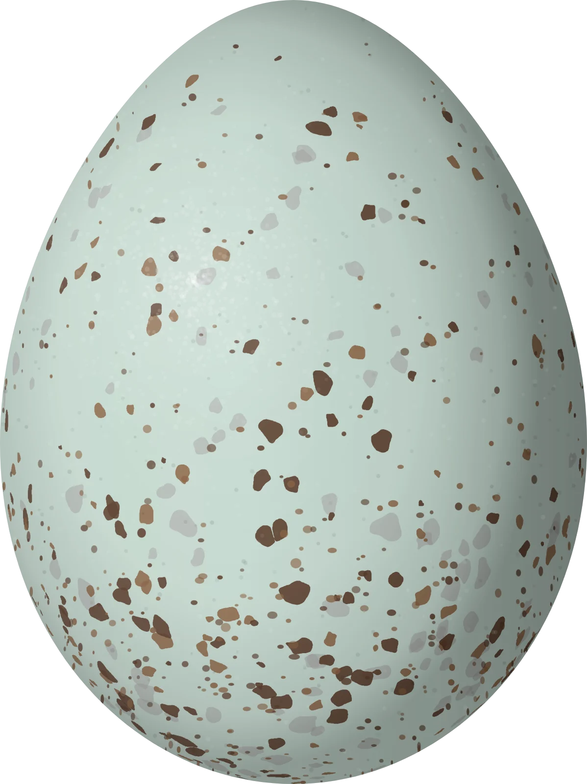 Illustration of a Greenish Yellow Finch (Sicalis olivascens) egg, 21.1 × 15.8 mm