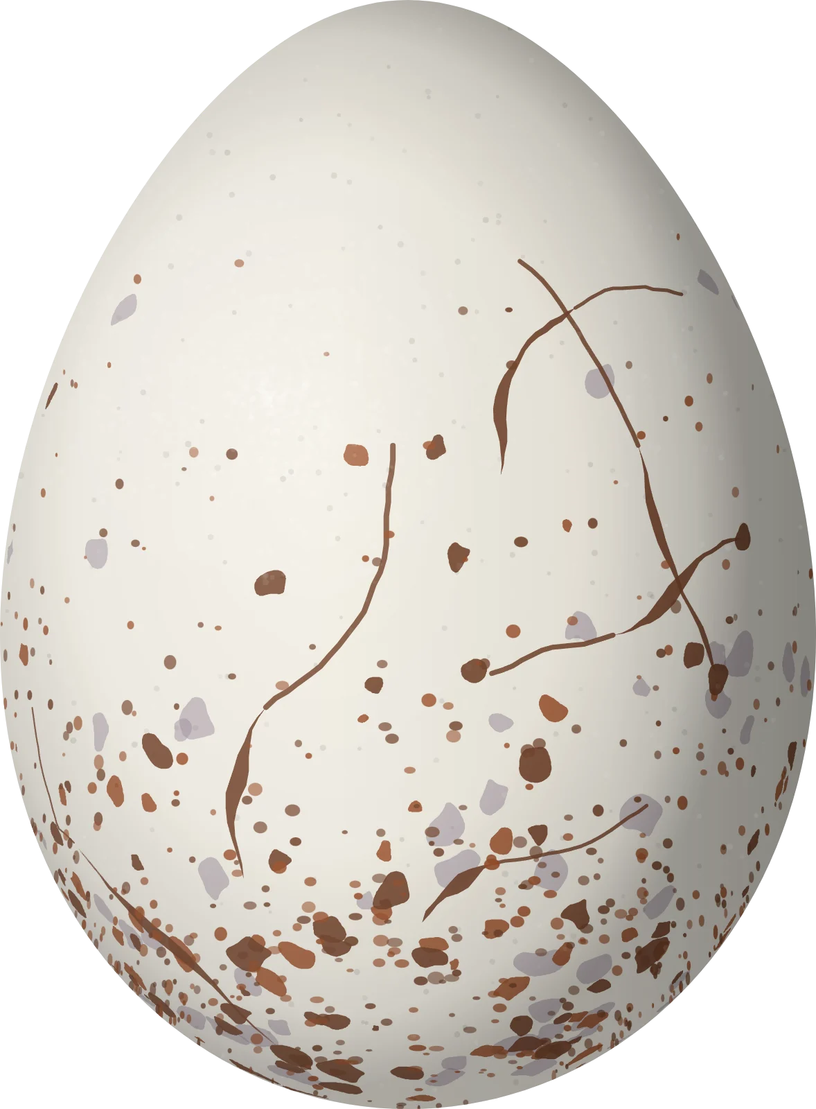 Illustration of a Grey-bellied Antbird (Ammonastes pelzelni) egg, 22 × 16.2 mm