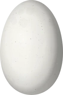 Illustration of a Grey-bellied Comet (Taphrolesbia griseiventris) egg, 13.5 × 8.9 mm