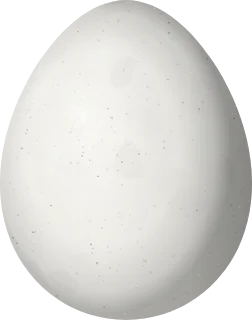Illustration of a Grey-bellied Spinetail (Synallaxis cinerascens) egg, 18.8 × 14.8 mm