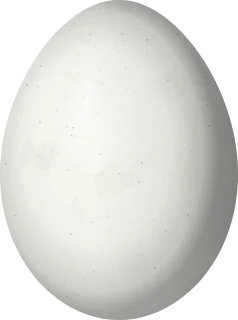 Illustration of a Grey-breasted Woodpecker (Melanerpes hypopolius) egg, 25.8 × 19.2 mm
