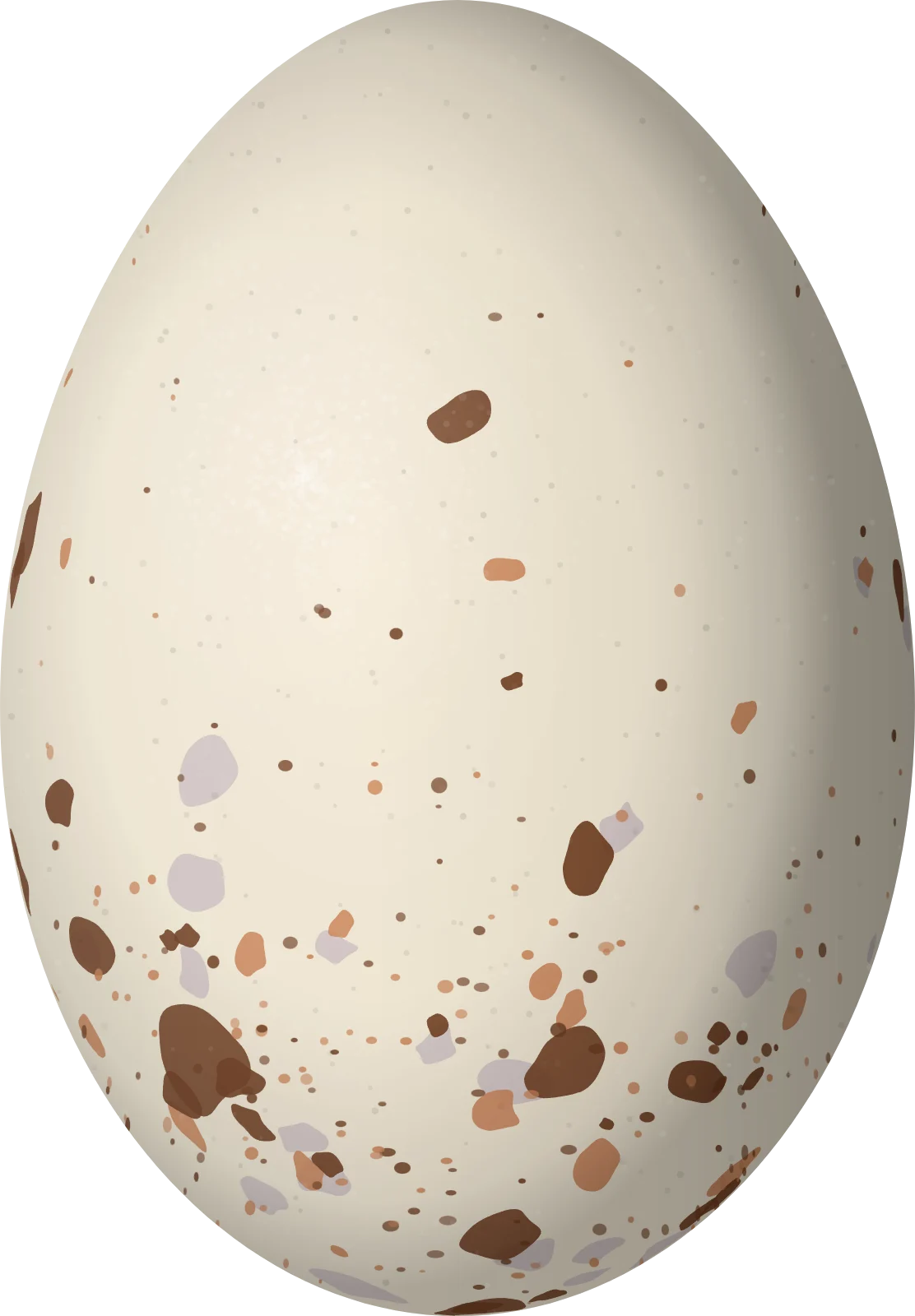 Illustration of a Grey-cowled Wood Rail (Aramides cajaneus) egg, 51.8 × 36 mm