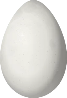 Illustration of a Grey-headed Chachalaca (Ortalis cinereiceps) egg, 59.8 × 40.9 mm
