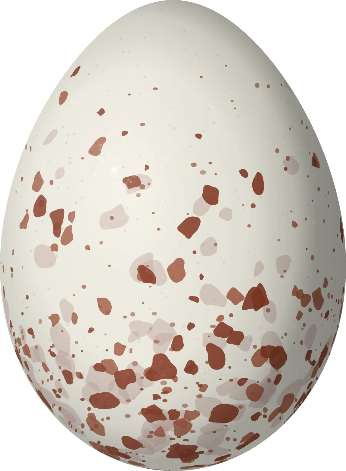 Illustration of a Grey-headed Chickadee (Poecile cinctus) egg, 17.25 × 12.67 mm