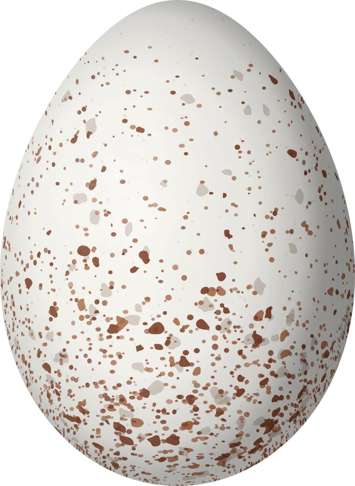Illustration of a Grey-headed Warbler (Myiothlypis griseiceps) egg, 20.4 × 14.9 mm