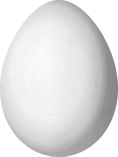 Illustration of a Grey Pileated Finch (Coryphospingus pileatus) egg, 19.8 × 14.9 mm