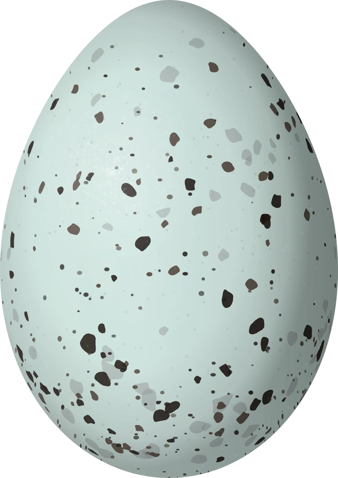 Illustration of a Grey-throated Warbling Finch (Microspingus cabanisi) egg, 21.2 × 15 mm