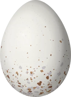 Illustration of a Grey Wren (Cantorchilus griseus) egg, 20.6 × 15 mm