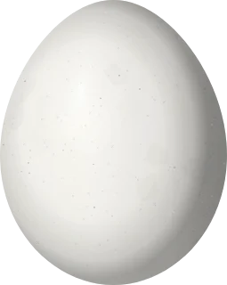 Illustration of a Greyish Piculet (Picumnus granadensis) egg, 15.3 × 12.2 mm