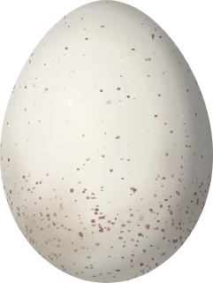Illustration of a Guadalupe Storm Petrel (Hydrobates macrodactylus) egg, 35.6 × 26.8 mm