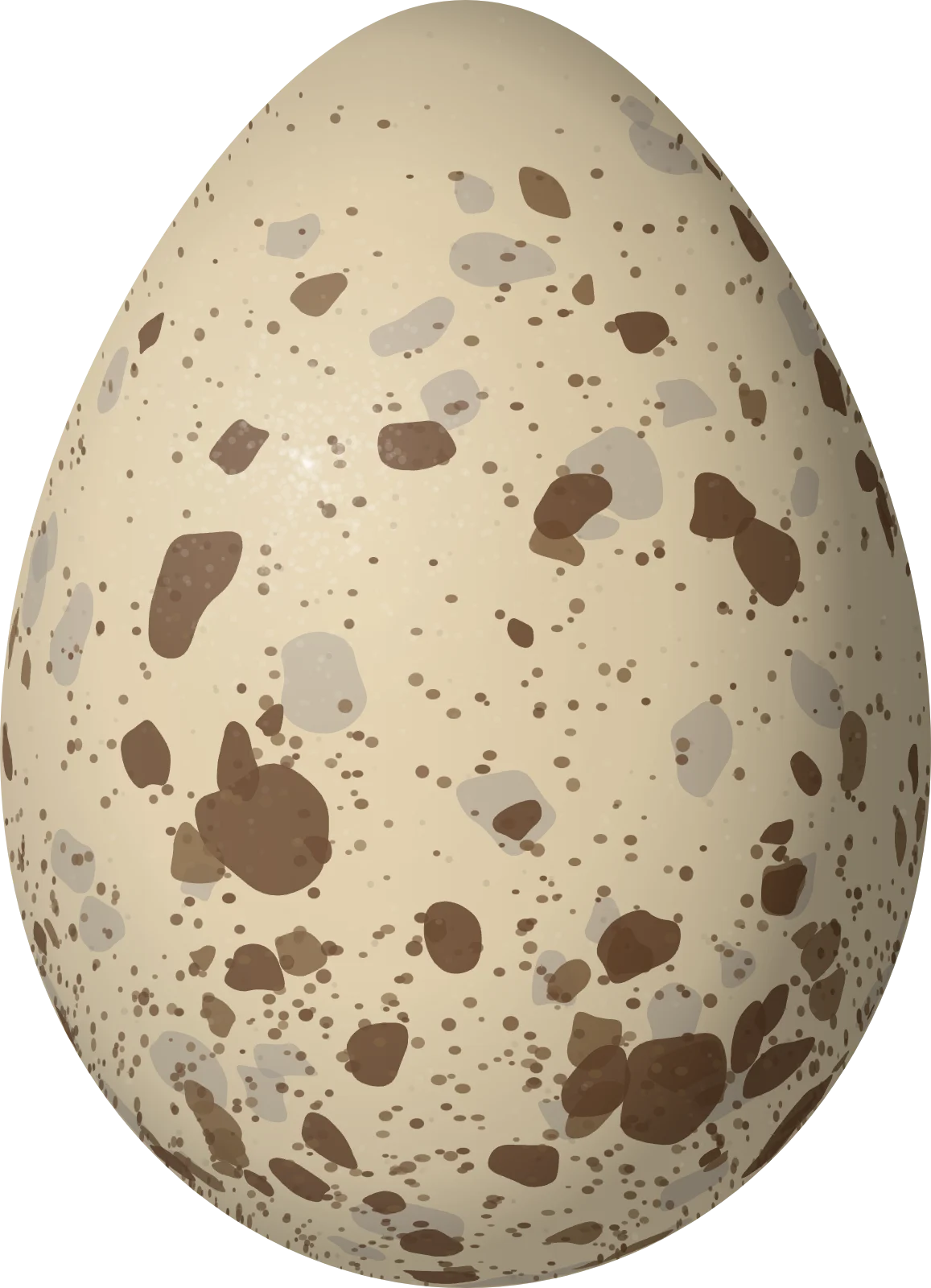 Illustration of a Gull-billed Tern (Gelochelidon nilotica) egg, 47 × 34 mm