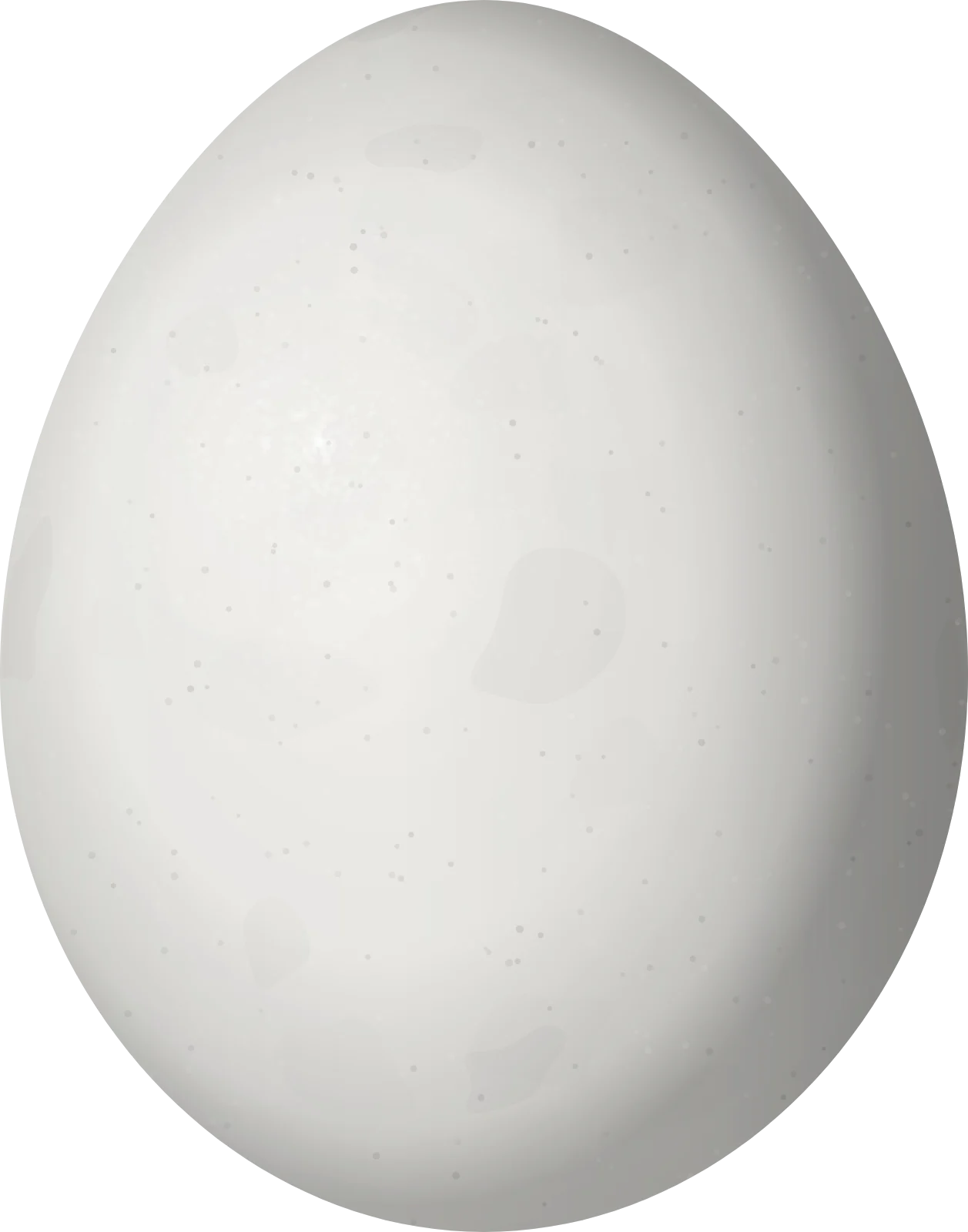 Illustration of a Gundlach's Hawk (Astur gundlachi) egg, 49 × 38.5 mm