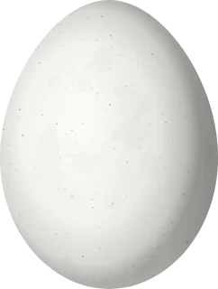 Illustration of a Hairy Woodpecker (Leuconotopicus villosus) egg, 23.81 × 18.04 mm