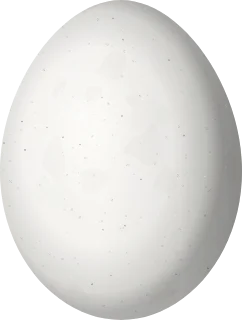 Hairy Woodpecker egg, 23.81 × 18.04 mm