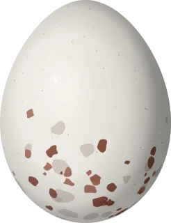 Hammond's Flycatcher egg, 16.8 × 12.9 mm