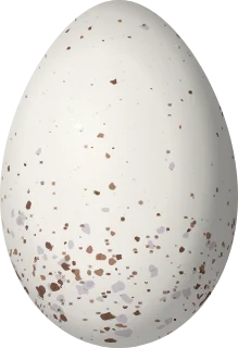 Illustration of a Happy Wren (Pheugopedius felix) egg, 20.5 × 14 mm