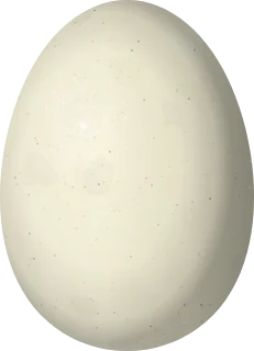 Harlequin Duck egg, 57.5 × 41.5 mm