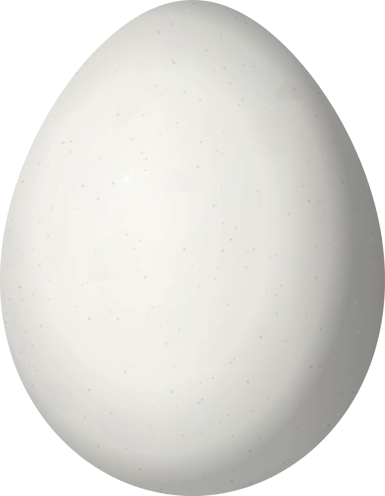 Illustration of a Hazel-fronted Pygmy Tyrant (Pseudotriccus simplex) egg, 18.8 × 14.6 mm