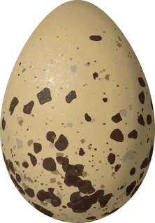 Illustration of a Heermann's Gull (Larus heermanni) egg, 58.83 × 40.9 mm