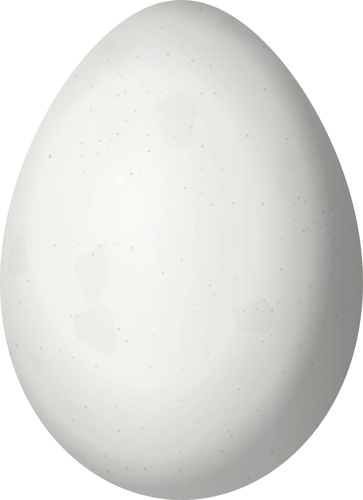 Illustration of a Helmeted Pygmy Tyrant (Lophotriccus galeatus) egg, 16.1 × 11.7 mm
