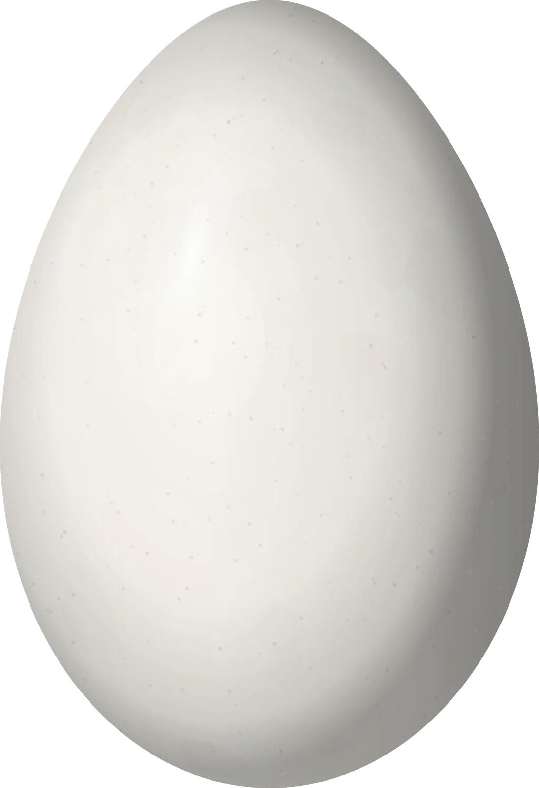 Illustration of a Hermit Wood Wren (Henicorhina anachoreta) egg, 21.9 × 15 mm