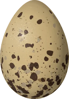 Illustration of a Herring Gull (Larus smithsonianus) egg, 72.3 × 50.5 mm