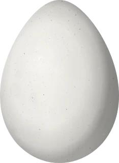 Illustration of a Highland Guan (Penelopina nigra) egg, 88.2 × 64.5 mm