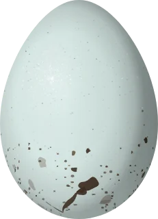 Illustration of a Hispaniolan Crossbill (Loxia megaplaga) egg, 20.6 × 14.9 mm