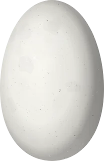 Illustration of a Hispaniolan Mango (Anthracothorax dominicus) egg, 13 × 8.4 mm