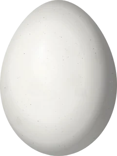 Illustration of a Hispaniolan Woodpecker (Melanerpes striatus) egg, 25.9 × 19.4 mm