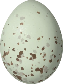 Hoary Redpoll egg, 16.7 × 12.5 mm