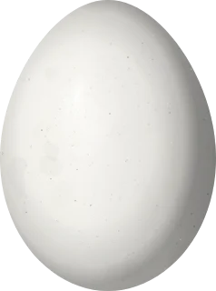 Illustration of a Hoffmann's Woodpecker (Melanerpes hoffmannii) egg, 25.8 × 19.2 mm