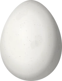 Illustration of a Hoffmanns's Woodcreeper (Dendrocolaptes hoffmannsi) egg, 29.8 × 22.6 mm