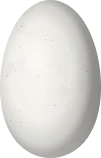 Illustration of a Honduran Emerald (Amazilia luciae) egg, 13.6 × 8.7 mm