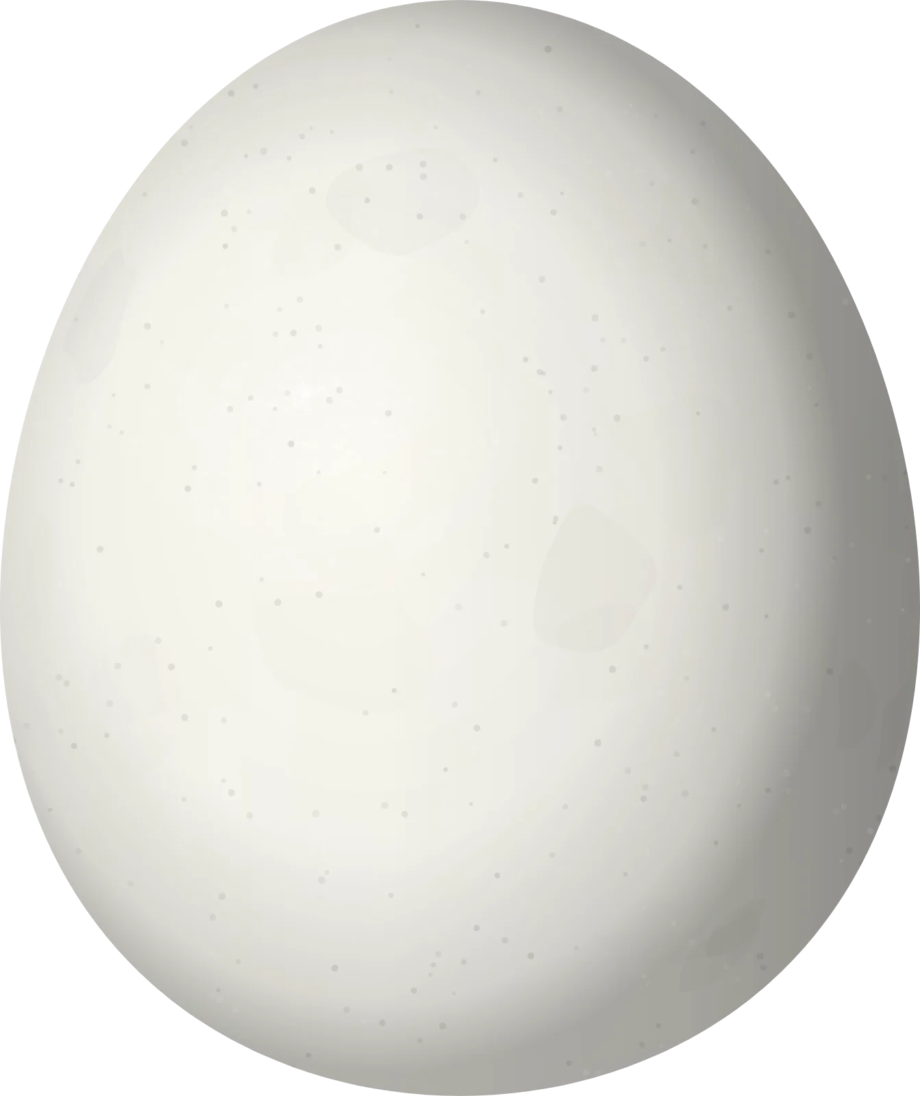 Illustration of a Hooded Merganser (Lophodytes cucullatus) egg, 53.5 × 44.9 mm