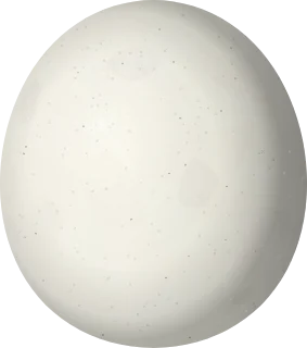 Hooded Merganser egg, 52.5 × 46.5 mm