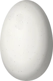 Illustration of a Hooded Visorbearer (Augastes lumachella) egg, 13.5 × 8.9 mm