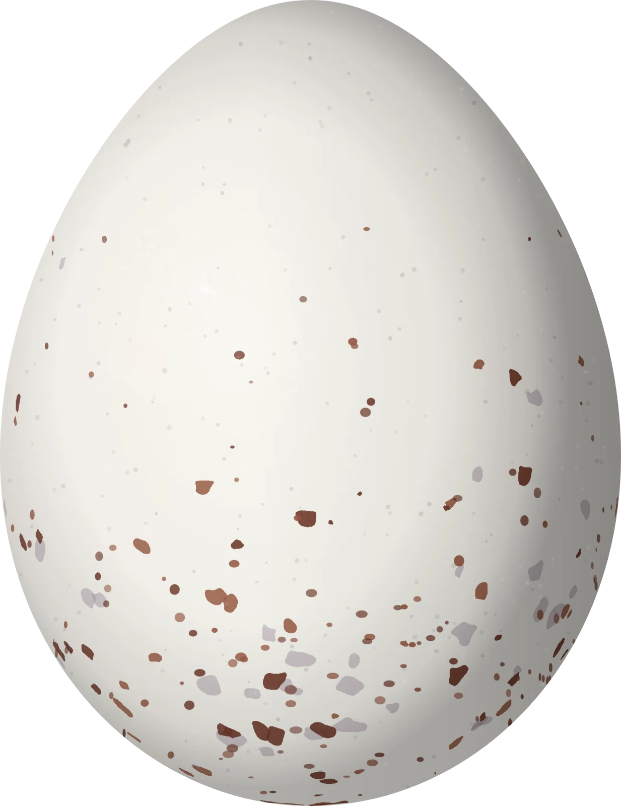Illustration of a Hooded Yellowthroat (Geothlypis nelsoni) egg, 18.3 × 14.1 mm