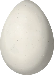 Illustration of a Horned Curassow (Pauxi unicornis) egg, 87.7 × 62.4 mm