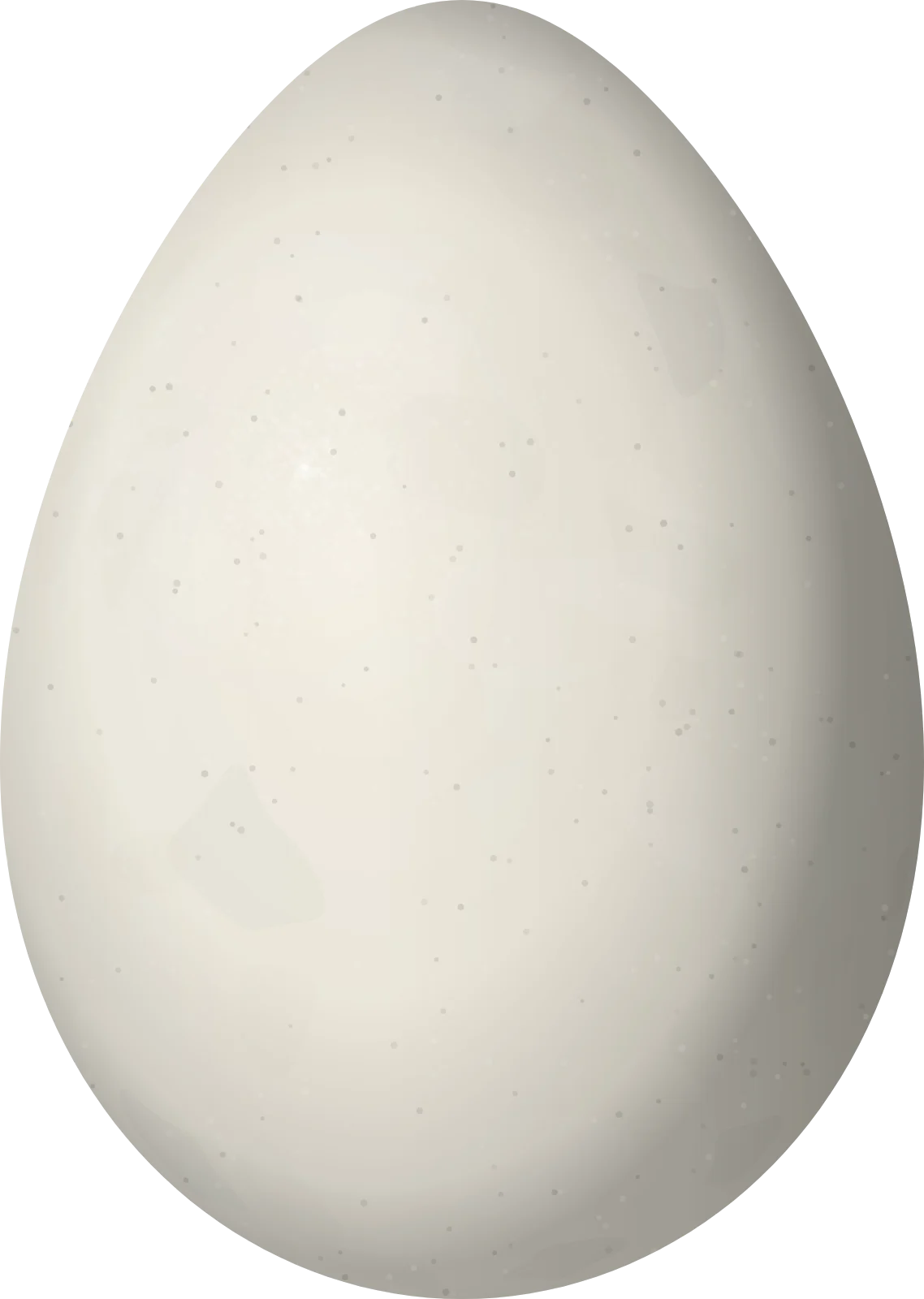 Illustration of a Horned Curassow (Pauxi unicornis) egg, 87.7 × 62.4 mm