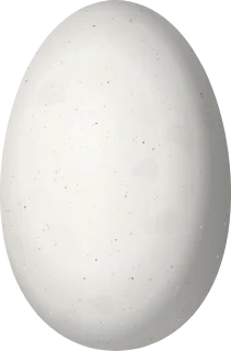 Illustration of a Horned Sungem (Heliactin bilophus) egg, 13.5 × 8.9 mm