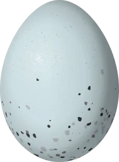 House Finch egg, 18.8 × 13.8 mm