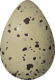 Hudsonian Godwit egg, 55.2 × 38.1 mm