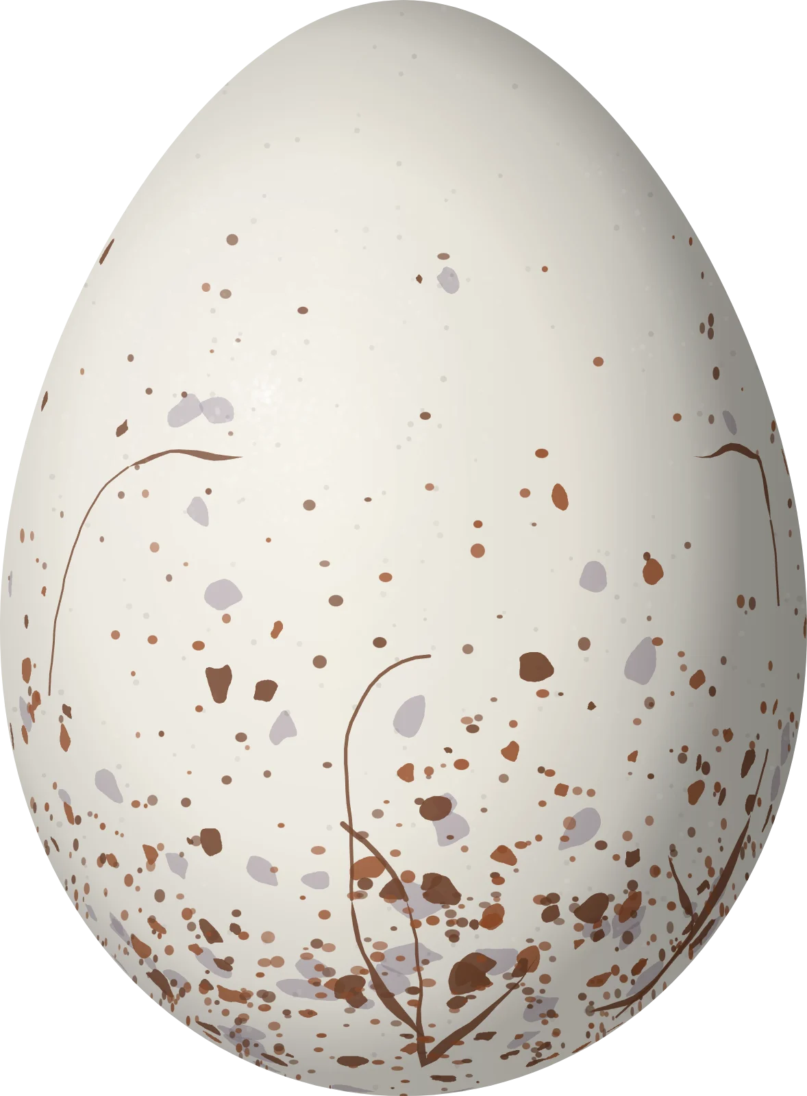 Illustration of a Humaita Antbird (Myrmelastes humaythae) egg, 22 × 16.2 mm