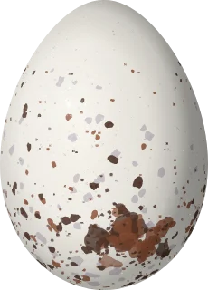 Illustration of an Ibera Seedeater (Sporophila iberaensis) egg, 17.4 × 12.5 mm