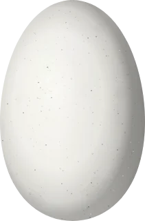 Illustration of an Inagua Woodstar (Nesophlox lyrura) egg, 13.5 × 8.9 mm
