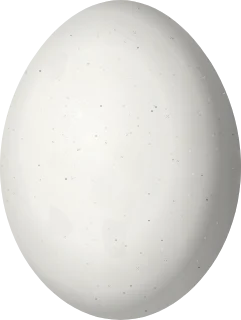 Inca Dove egg, 22.3 × 16.8 mm