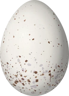 Illustration of an Inca Wren (Pheugopedius eisenmanni) egg, 20.2 × 14.5 mm
