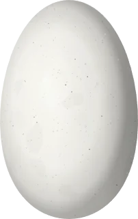 Illustration of an Indigo-capped Hummingbird (Saucerottia cyanifrons) egg, 14.4 × 9.1 mm